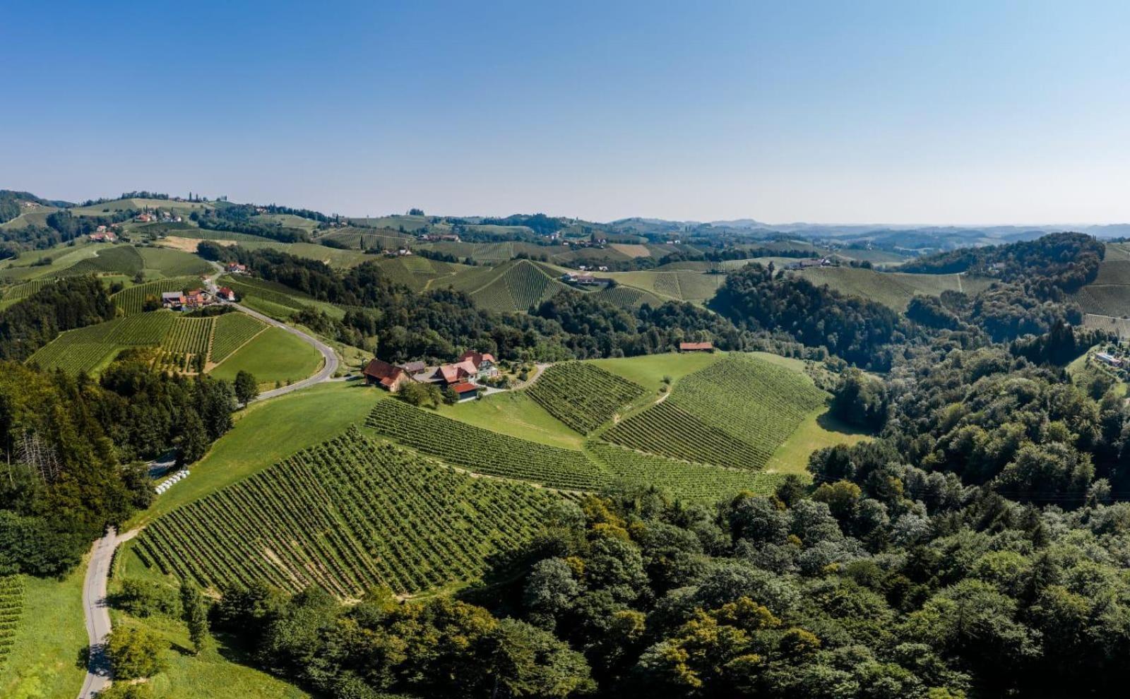 Weingut Juritsch Bed & Breakfast Leutschach Exterior photo