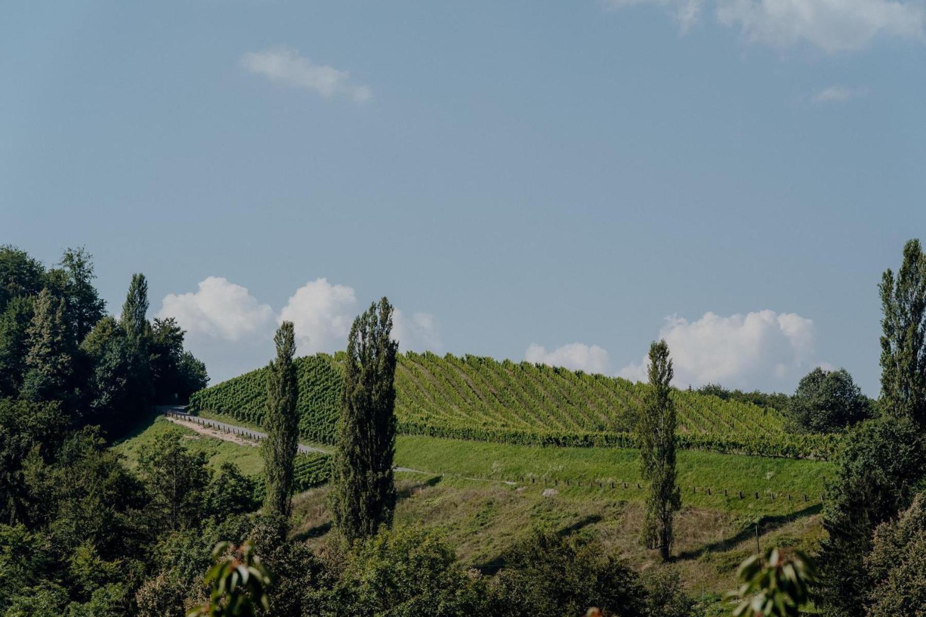 Weingut Juritsch Bed & Breakfast Leutschach Exterior photo