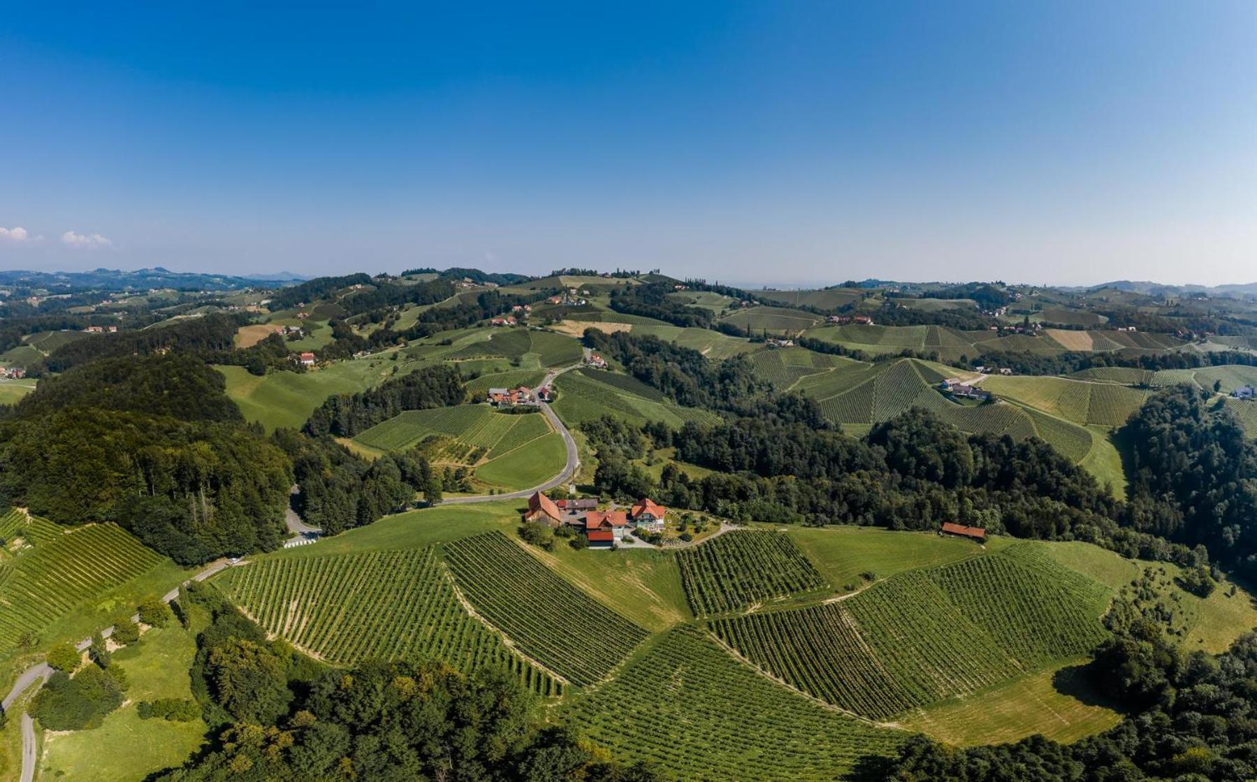 Weingut Juritsch Bed & Breakfast Leutschach Exterior photo